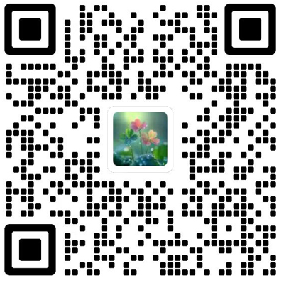 经济科学杂志模板